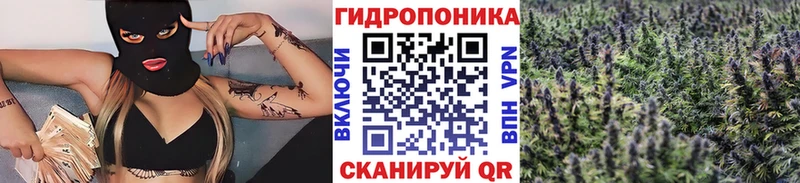 Купить Сенгилей Амфетамин COCAIN Псилоцибиновые грибы Бошки Шишки ГАШ