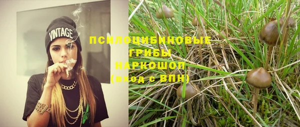 дживик Алзамай