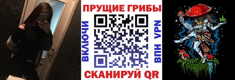 Галлюциногенные грибы GOLDEN TEACHER  Сенгилей 